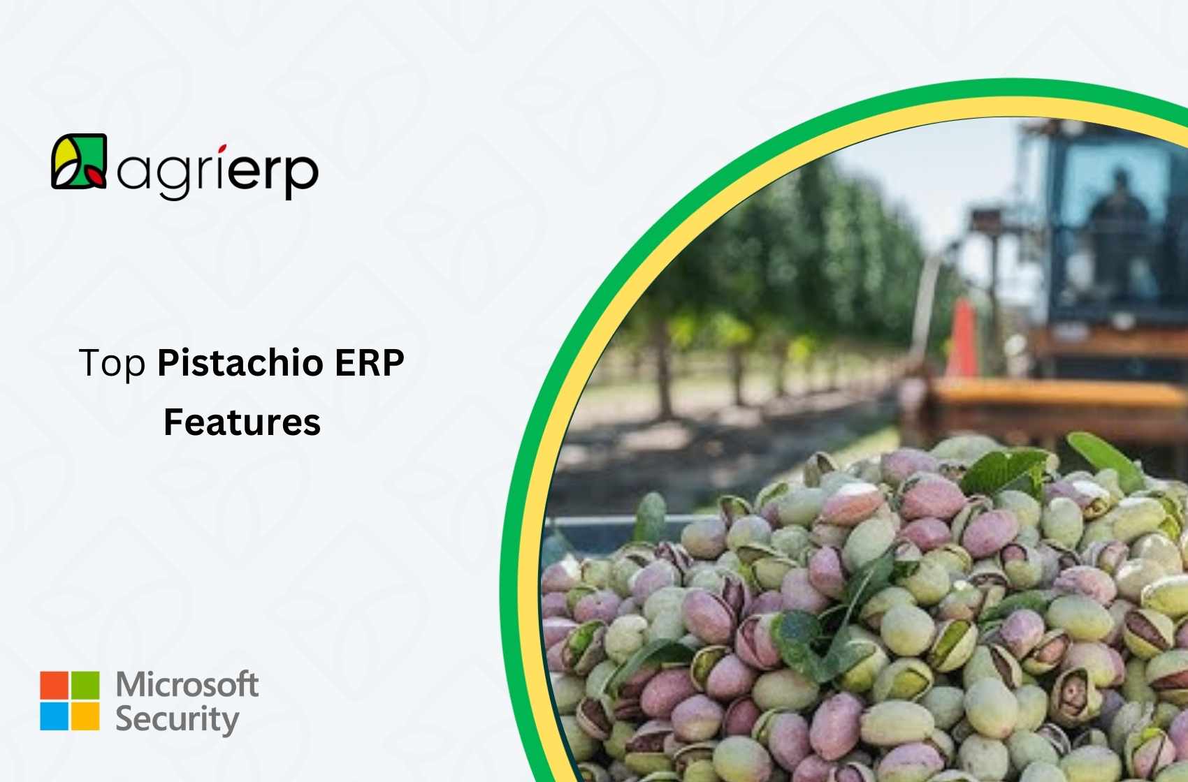 top pistachio erp features