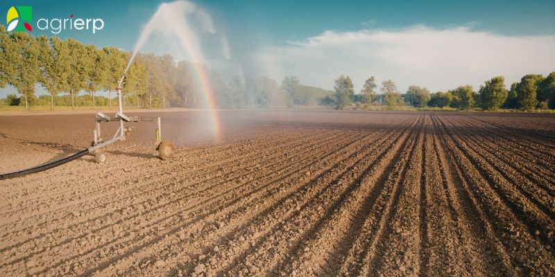 what are crop irrigation systems
