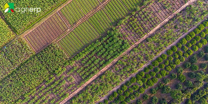 what is polyculture farming