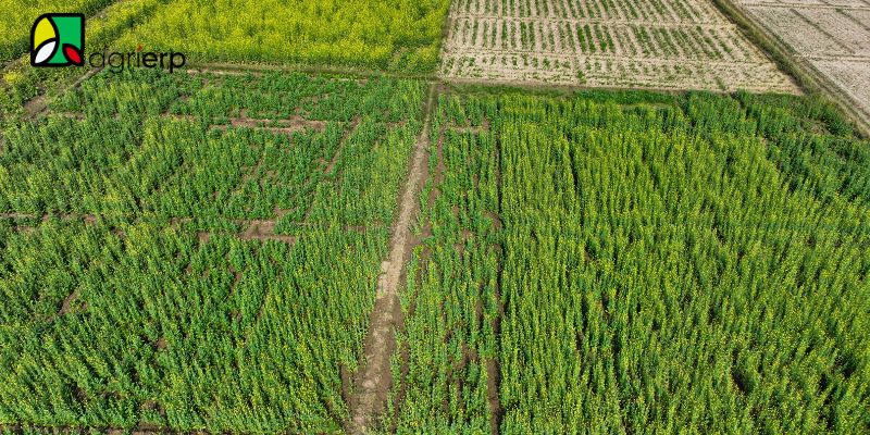 how agrierp supports crop protection
