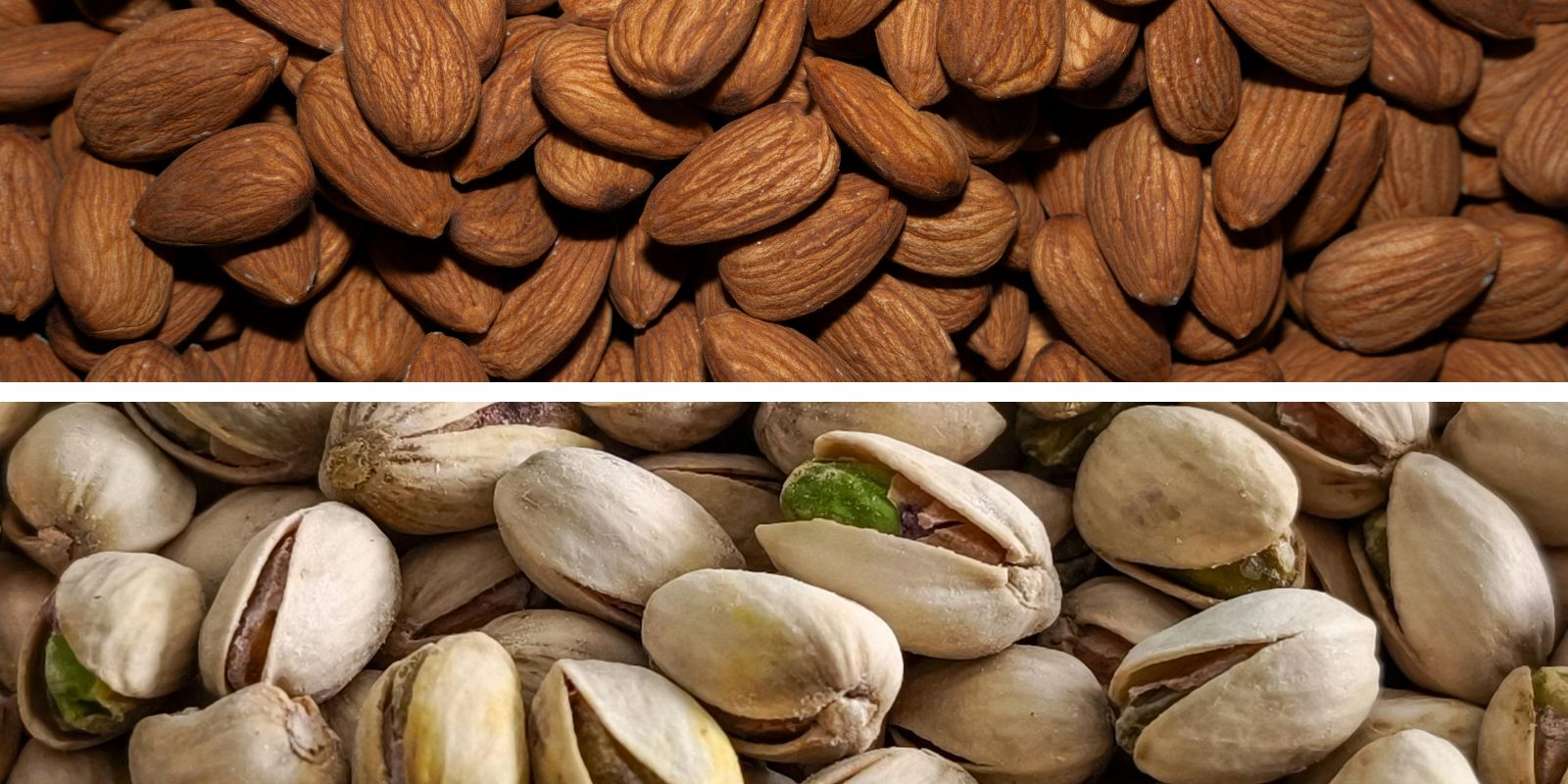 ways erp guarantees food safety compliance in nut processing