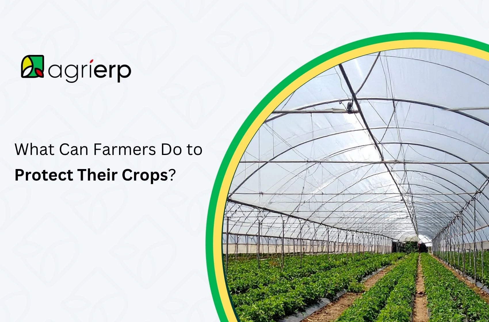what can farmers do to protect their crops