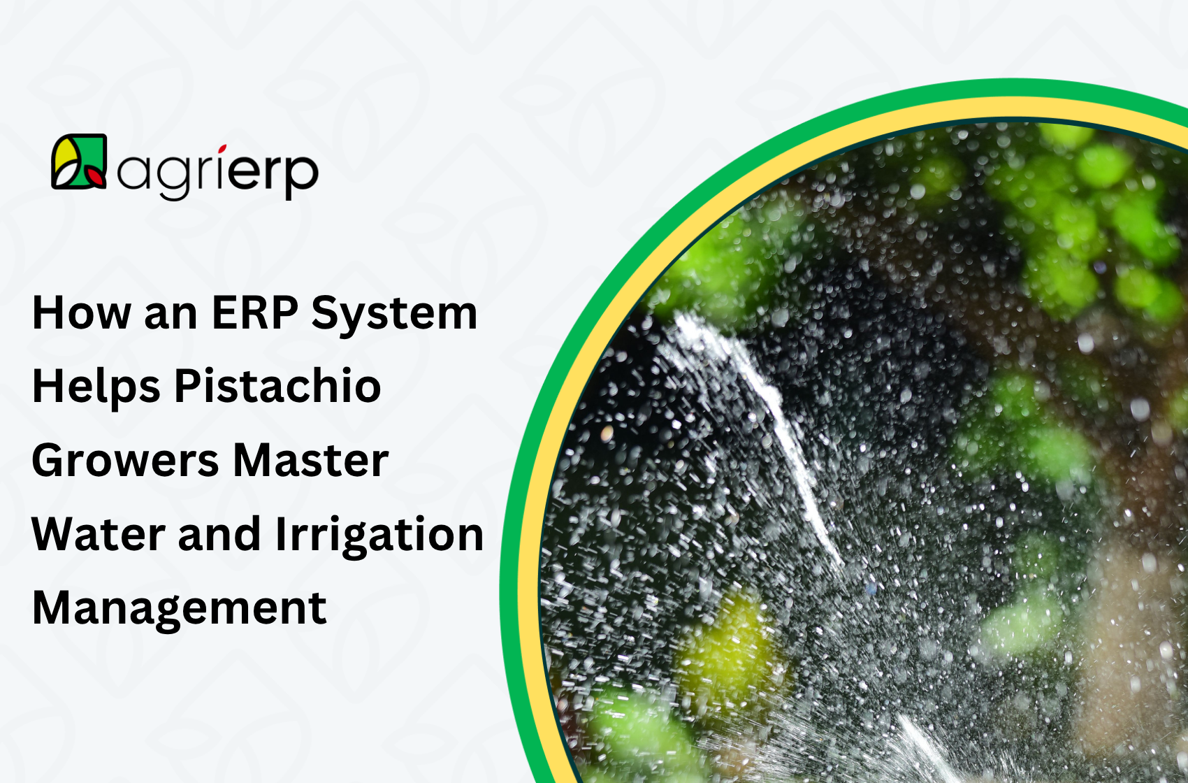 an image showing a sprinkler system with the caption "How an ERP System Helps Pistachio Growers Master Water and Irrigation Management"