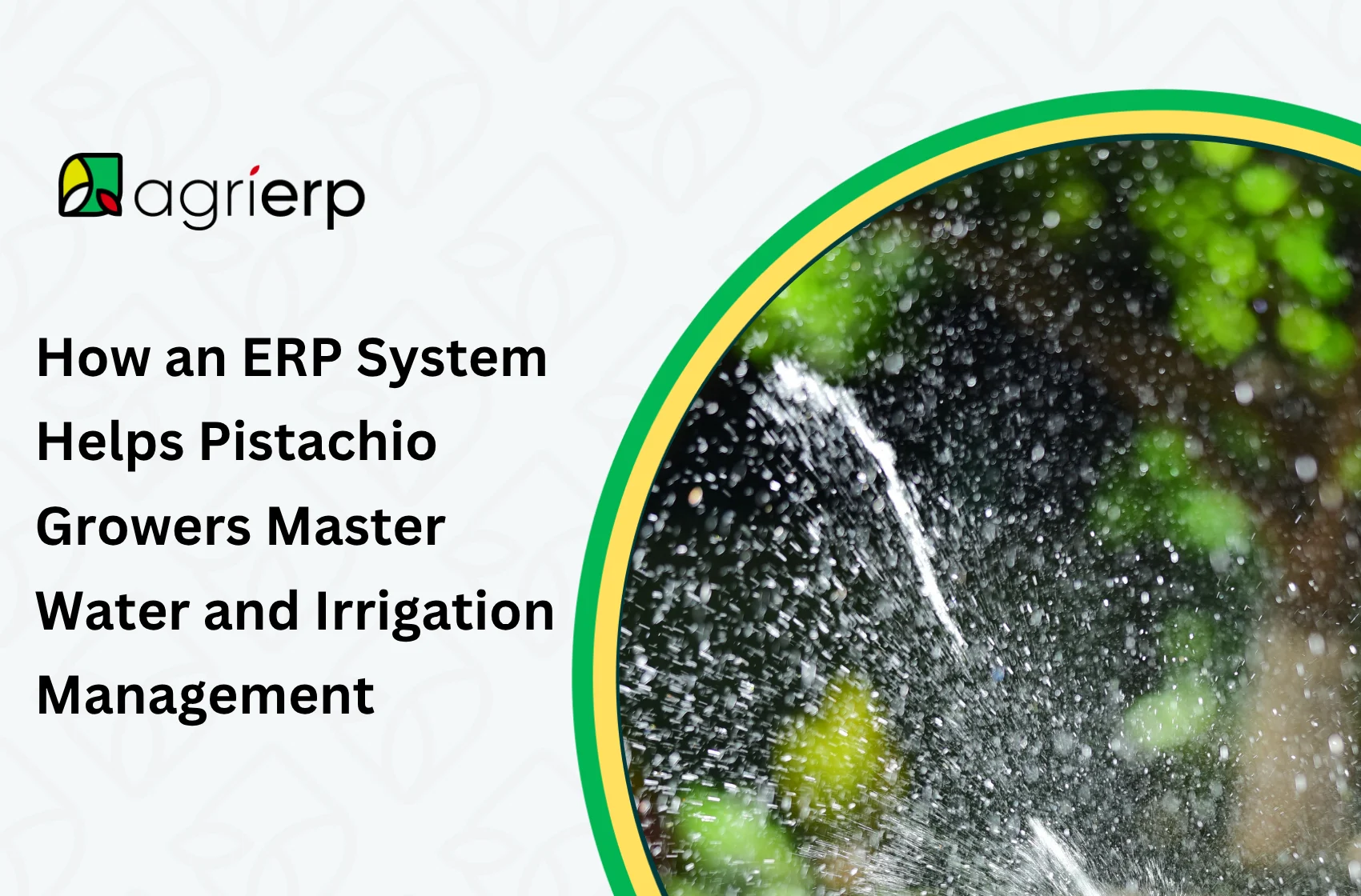 an image showing a sprinkler system with the caption "How an ERP System Helps Pistachio Growers Master Water and Irrigation Management"