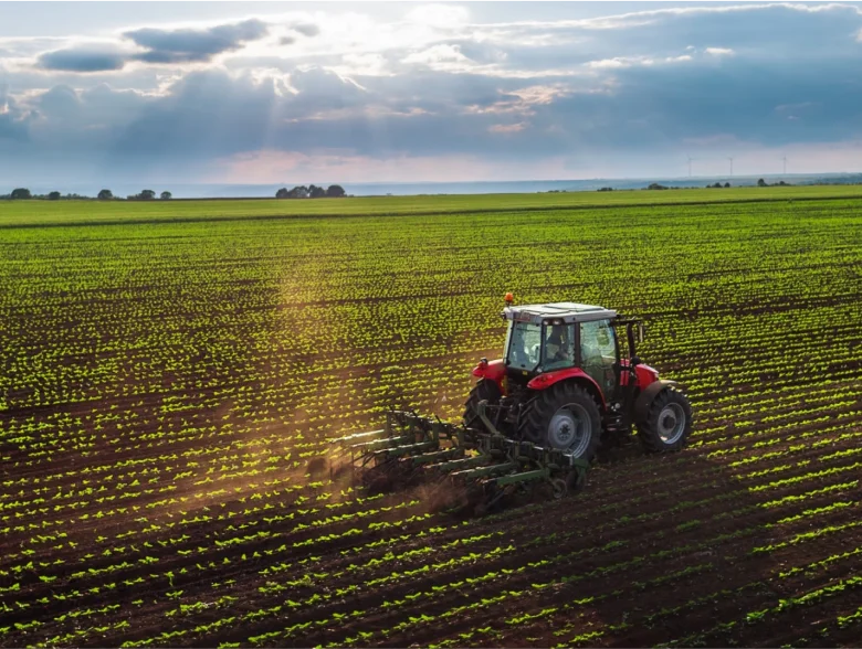 Conventional Farming