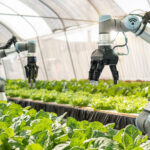 Smart_Farming