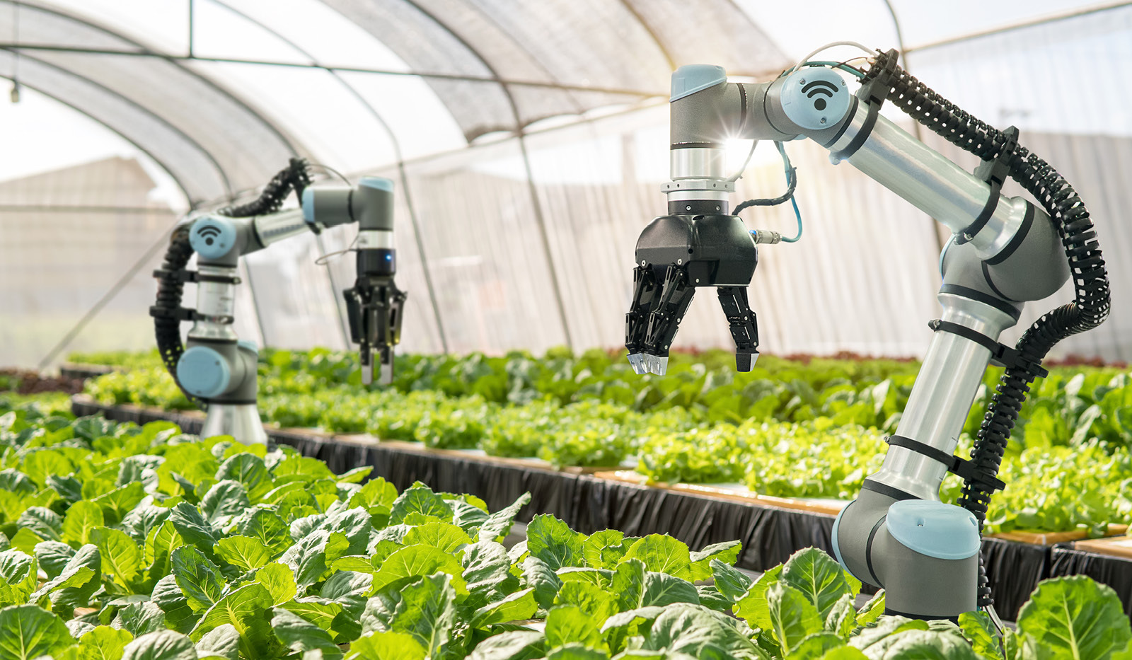 Smart_Farming