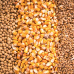 soybeans corn wheat lead