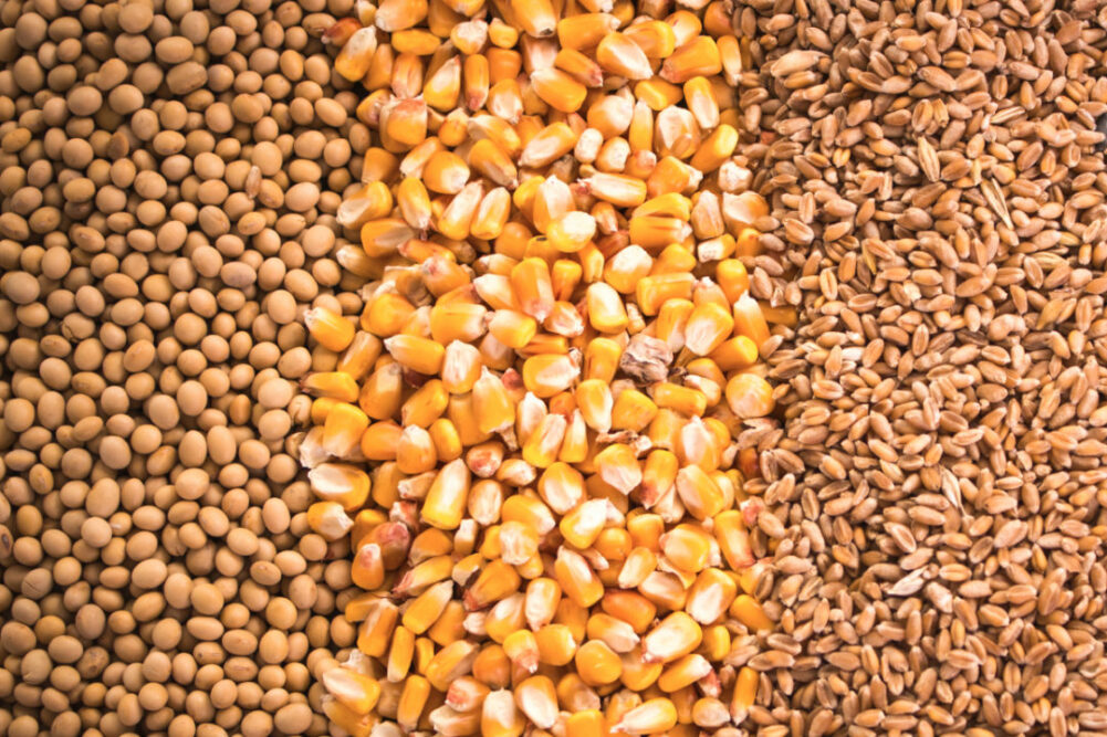 soybeans corn wheat lead