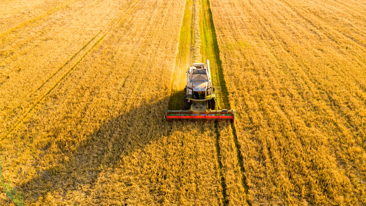 ai in agriculture next generation of smart farming