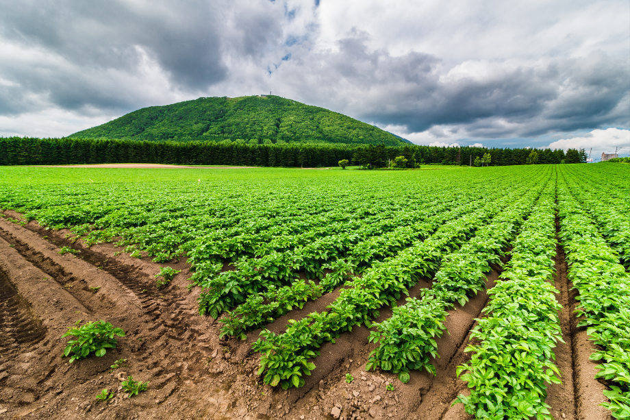 texas growers demand water treaty enforcement