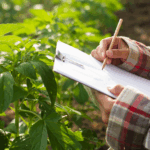 precision ag advancements sensors, satellites, and ai leading the way