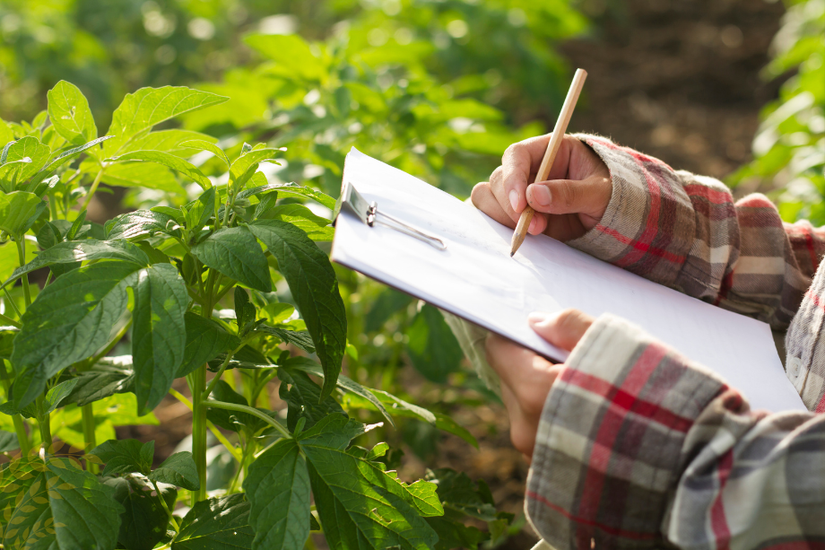 precision ag advancements sensors, satellites, and ai leading the way