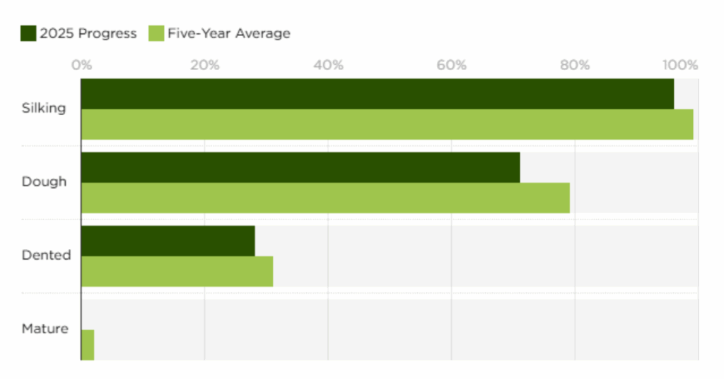 Crop Tour Sees Record Corn USDA Mixed - AgriERP