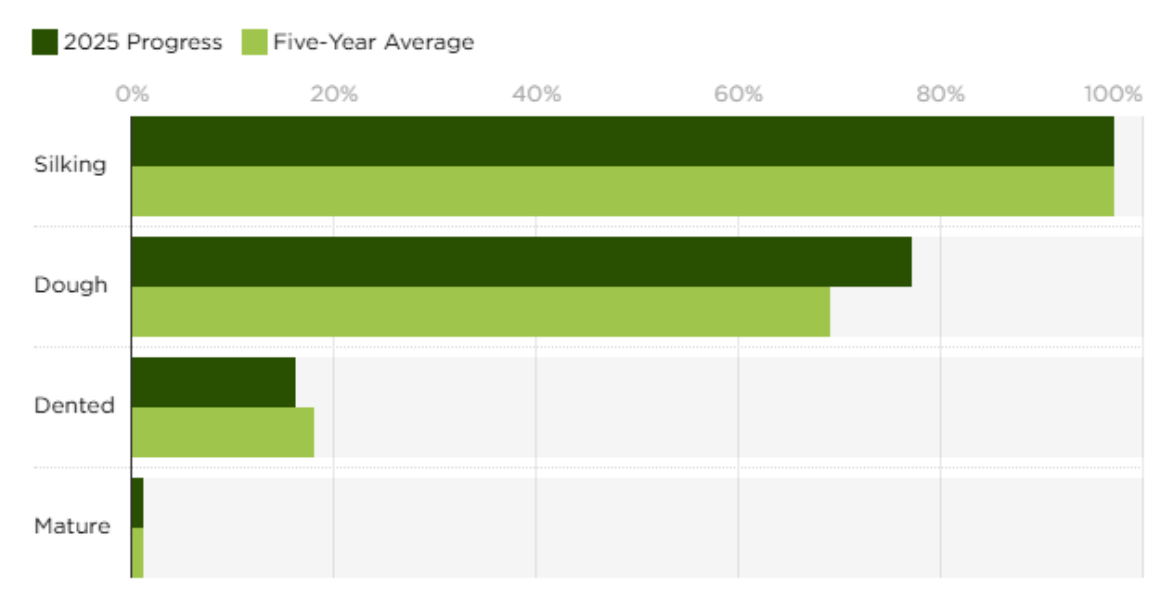 Crop Tour Sees Record Corn USDA Mixed - AgriERP