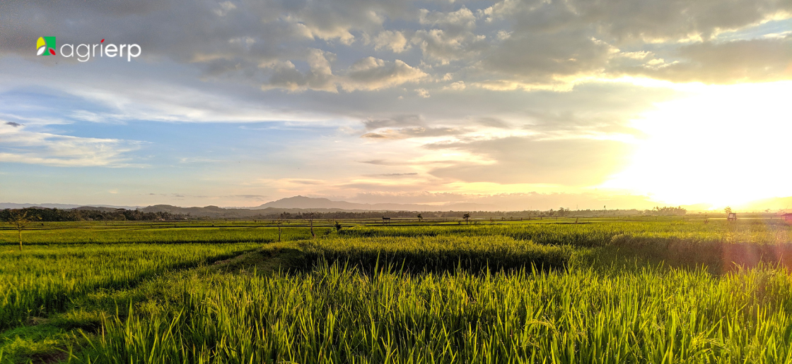 Farm ERP Software for Every Role
